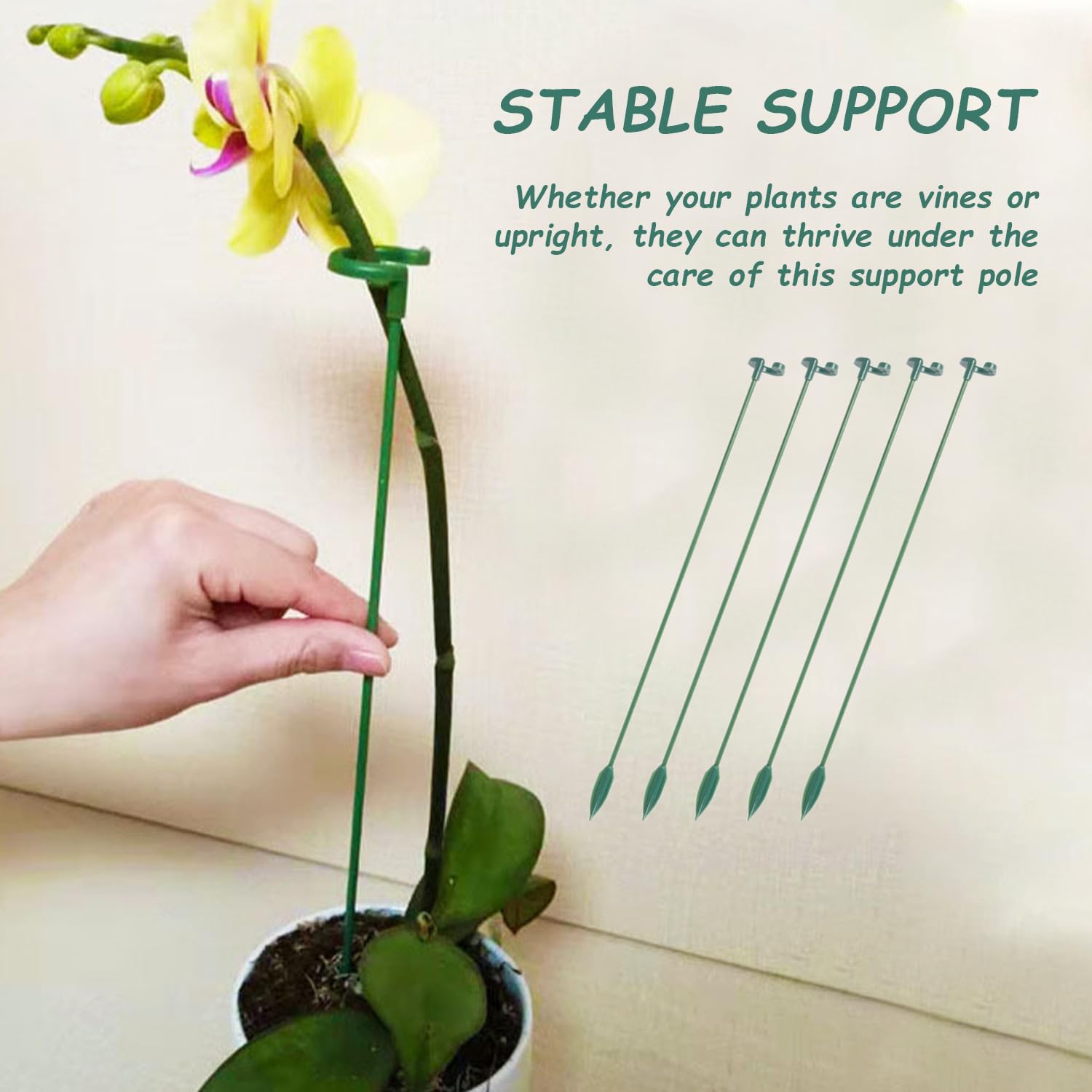 Tuteurs Pour Orchidées Pivoines HDGSAFD Lot De 16 Tuteurs De Support Pour Plantes à Double Couche - Épissables - Support Pour Plantes - Phalaenopsis - Hortensia, Pivoine - Vert Supports Jardin Stables Tuteurs Pour Orchidées Pivoines HDGSAFD Lot De 16 Tuteurs De Support Pour Plantes à Double Couche - Épissables - Support Pour Plantes - Phalaenopsis - Hortensia, Pivoine - Vert Supports Jardin Stables