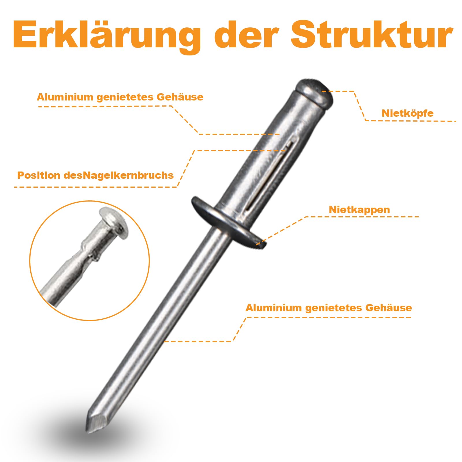 Dayalo 100 stuks aluminium blindklinknagels 4,8 x 12 mm