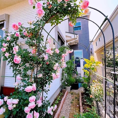 Arche de jardin en métal plantes grimpantes tonnelle extérieure ajustable