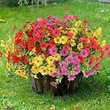 Sggvecsy Artificial Flowers for Outdoors