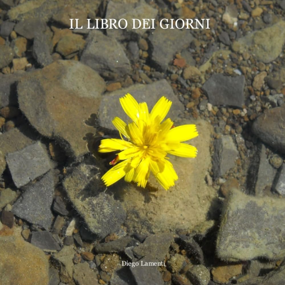 Il libro dei giorni: (haiku)