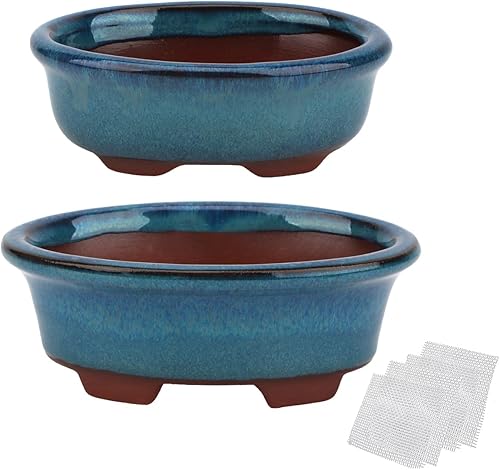 Maceta Bonsái para suculentas, pequeñas macetas esmaltadas, paquete económico de 2 + 4 pantallas de drenaje de malla suave
