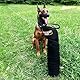Dingo Gear Set Schutzarm aus Nylcot Sehr Hart Beißärmel Plus Beisswurst aus Jute Beißtraining für IGP K9 Sport Training Erwachsener Hunde Schwarz Beißniveau 5 Meister S10053