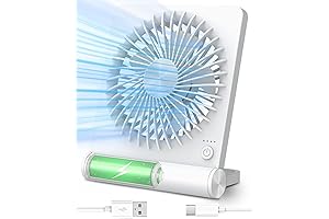 Portable Cordless Fan: Ideal Cooling Companion for Cruises