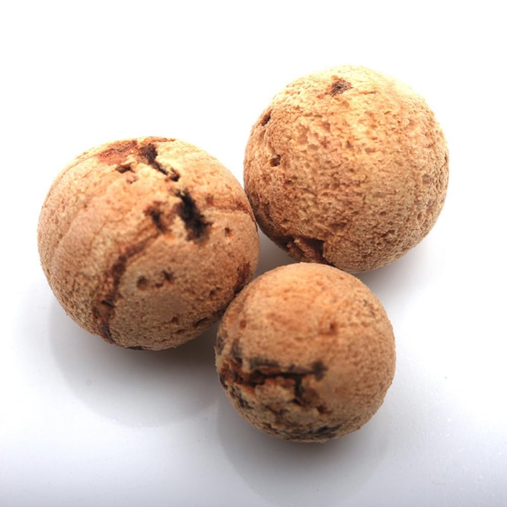 20 Bouillettes Appâts En Liège Pour Pêche – Pop-ups 8 Mm Et 10 Mm, Multiusages