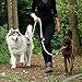 lionto Multifunktionsleine verstellbar für alle Hunde, wetterfeste Umhängeleine bis 200 cm, robuste Hundeleine leicht zu reinigen, vielseitige Führleine mit rostfreien Edelstahlkarabinern, beige