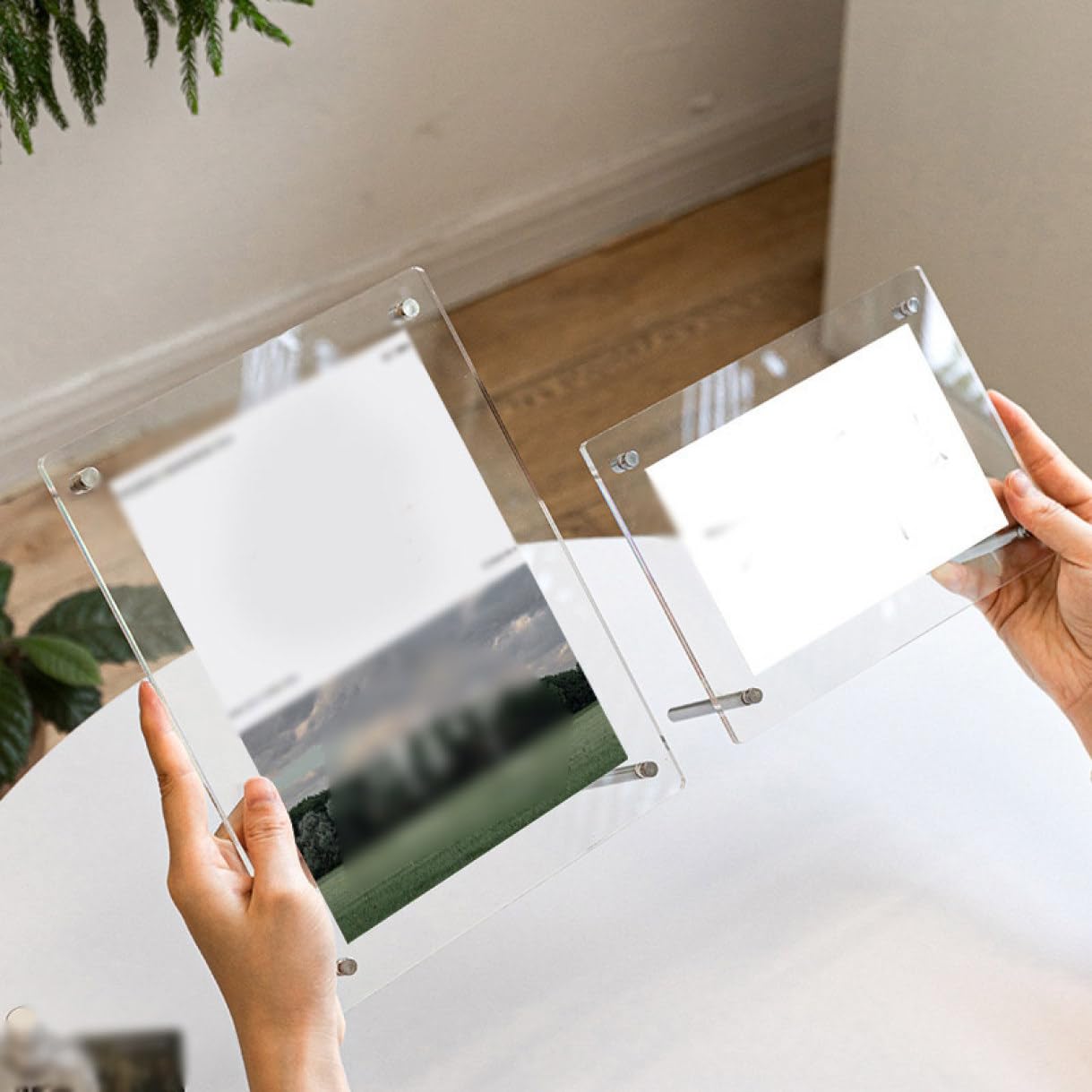 Amazon.co.jp: [XYJP] 透明感で写真を引き立たせるフォト