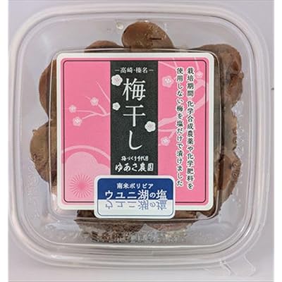 高崎・榛名 梅干し ウユニ湖の塩 120g