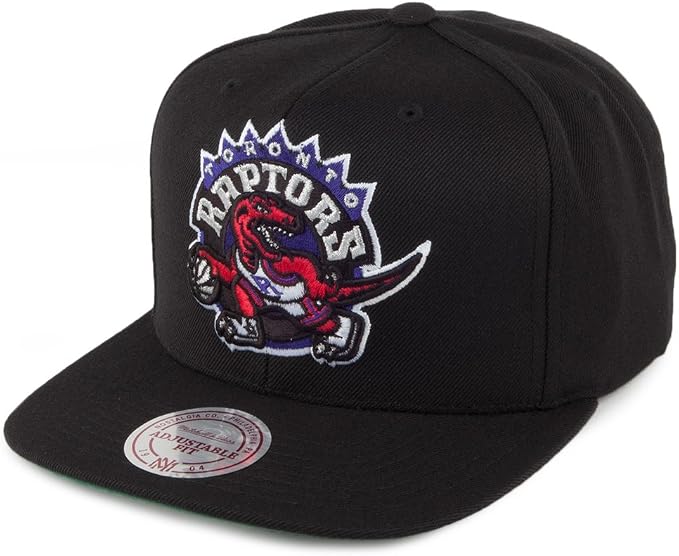Toronto Raptors Vintage Logo HWC Solid 