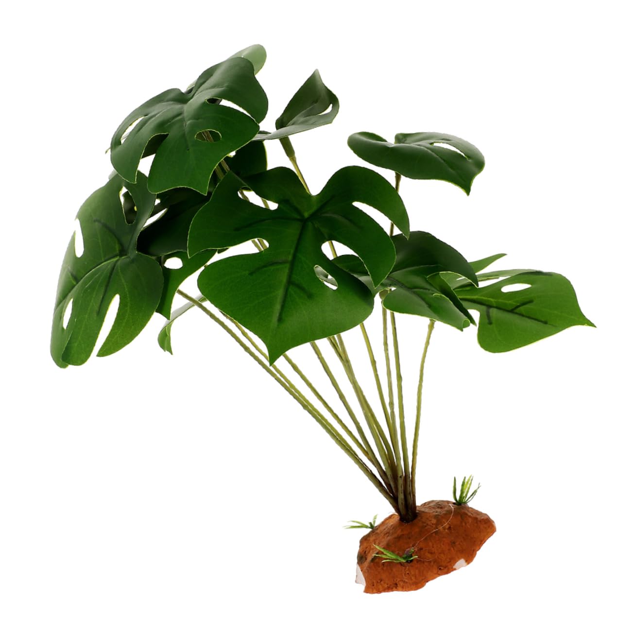 SUPVOX 5pezzi Decorative Per Terrario e Serbatoio Rettile Habitat Simulato Decorazione Per Accessorio Per e Rettili Realistico
