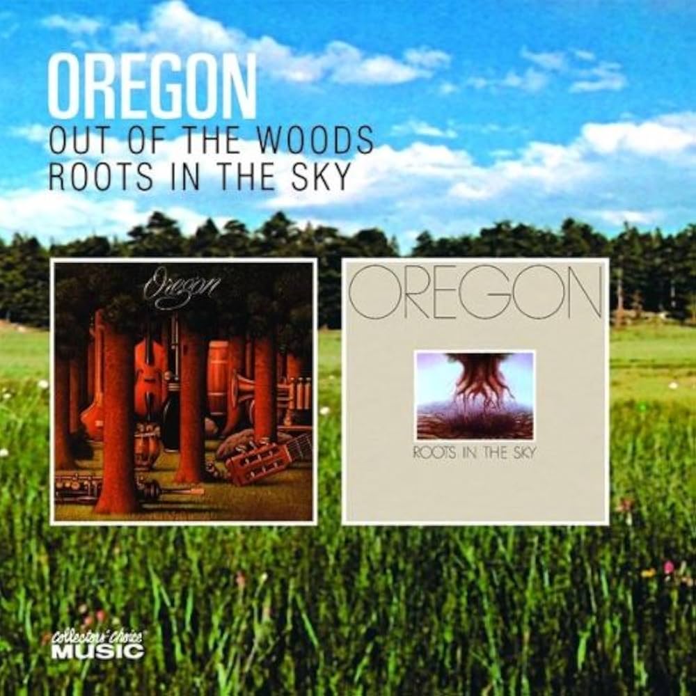 【中古】 Out of the Woods Roots in the Sky Oregon Oregon - Out of the Woods / Roots in the Sky - Amazon.com Music