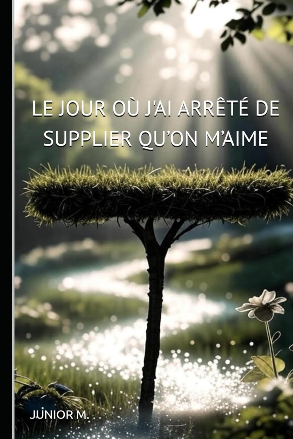 LE JOUR OU J'AI ARRÊTÉ DE SUPPLIER QU'ON M'AIME: Guérir les Cœurs Brisés