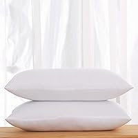 Vista 2 de Acanva Insertos de almohada de alta calidad con relleno de microfibra, relleno decorativo de soporte lumbar para sofá, cama, sofá y sillas, 12 x