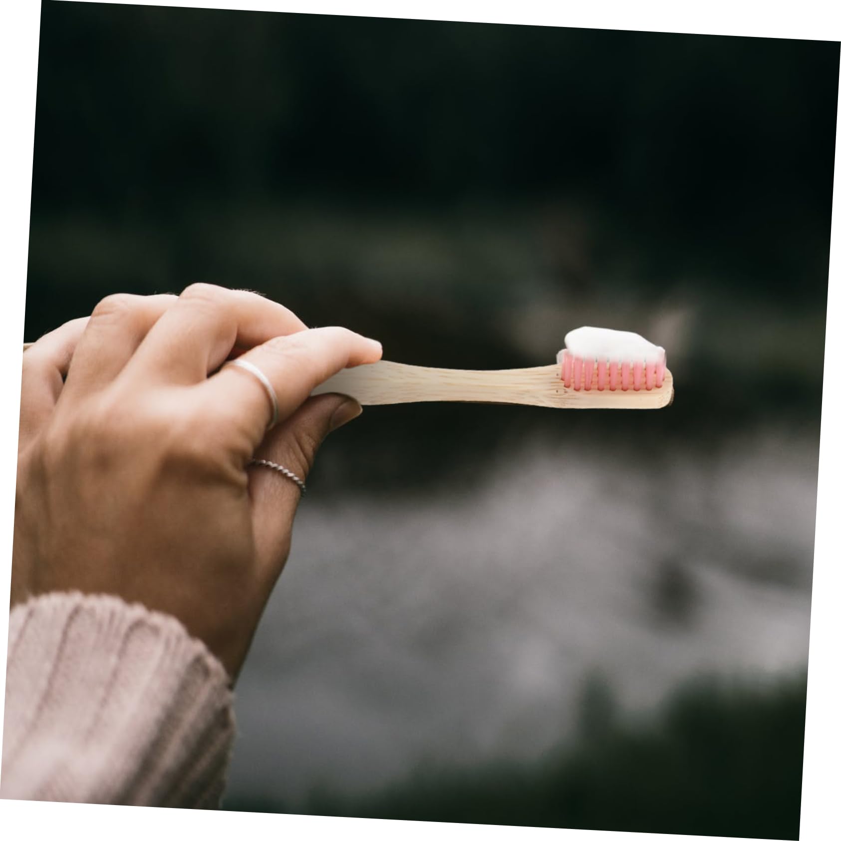 FRCOLOR Spazzolino Denti in Bambù Spazzolini Viaggio Custodia in Bambù Impugnatura Ergonomica