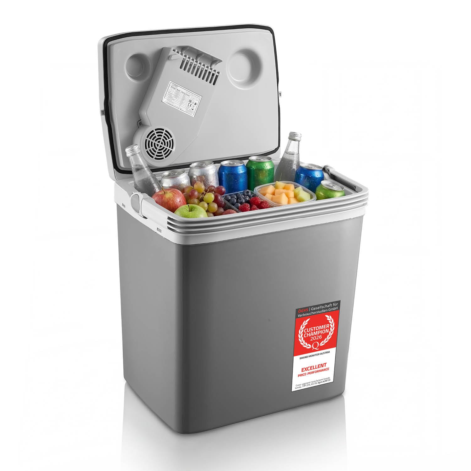 TZS First Austria - Termoelektryczna lodówka podróżna 25 l – wydajność chłodzenia 18 stopni – 230 V/12 V/USB-C PD 3.0 – przenośna minibar do samochodu i na kemping – szara/jasnoszara