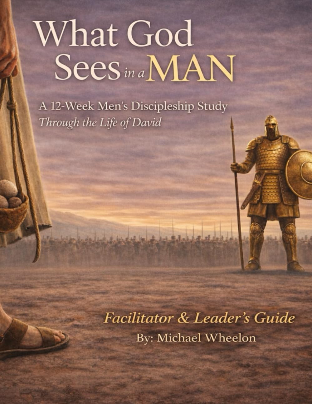 What God Sees In A Man: A 12-Week Men’s Discipleship Study Through the Life of David - Facilitator & Leader’s Guide