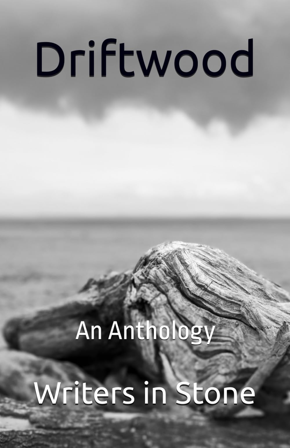 Driftwood: An Anthology: 1 (Group Anthologies)