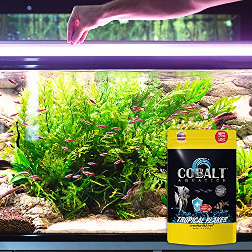 Cobalt Aquatics 27117 Cobalt Tropical Granular High Protein Food, 2.07 Oz - Balanced Vitamins & Minerals - Slow Sinking Pellets - Won'T Cloud Water - Ideal For Fish & Shrimp thumb #2