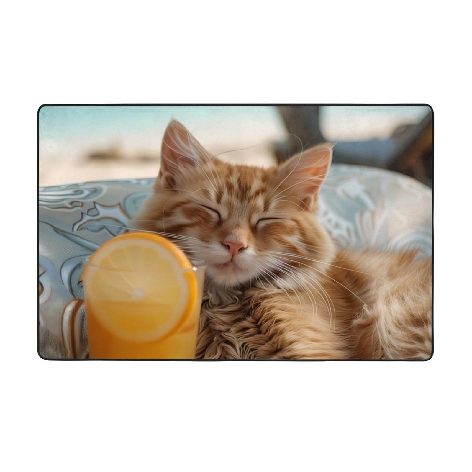 Tapis apaisant pour chat avec zone de jus d'orange pour salon, chambre à coucher, tapis lavable doux, 7,6 x 12,7 cm, antidérapant, tapis de sol intérieur pour décoration