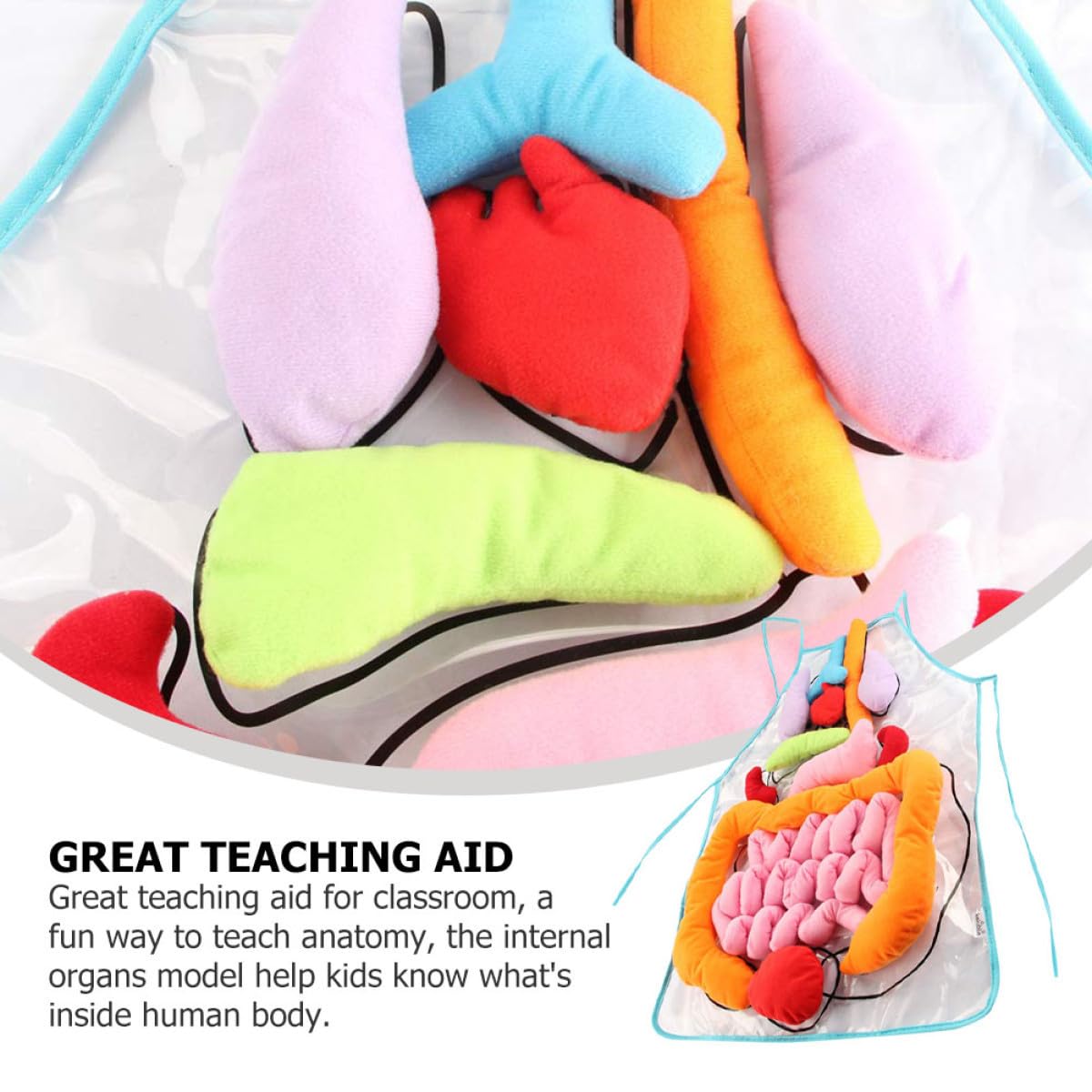 Delantal Educativo de Órganos del Cuerpo Humano 3D para Niños
