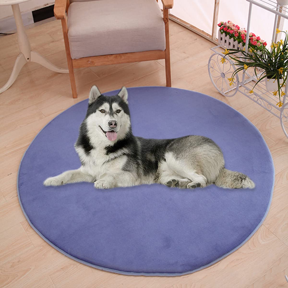 Waigg Kii Large Dog Bed Mat,Coral Velvet Soft Round Carpet Area Rug Pet Mat,Anti-Anxiety Dog Mattress for Small Medium Large Cats Dogs (80CM,Navy)