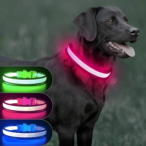 amazon dog light up collar