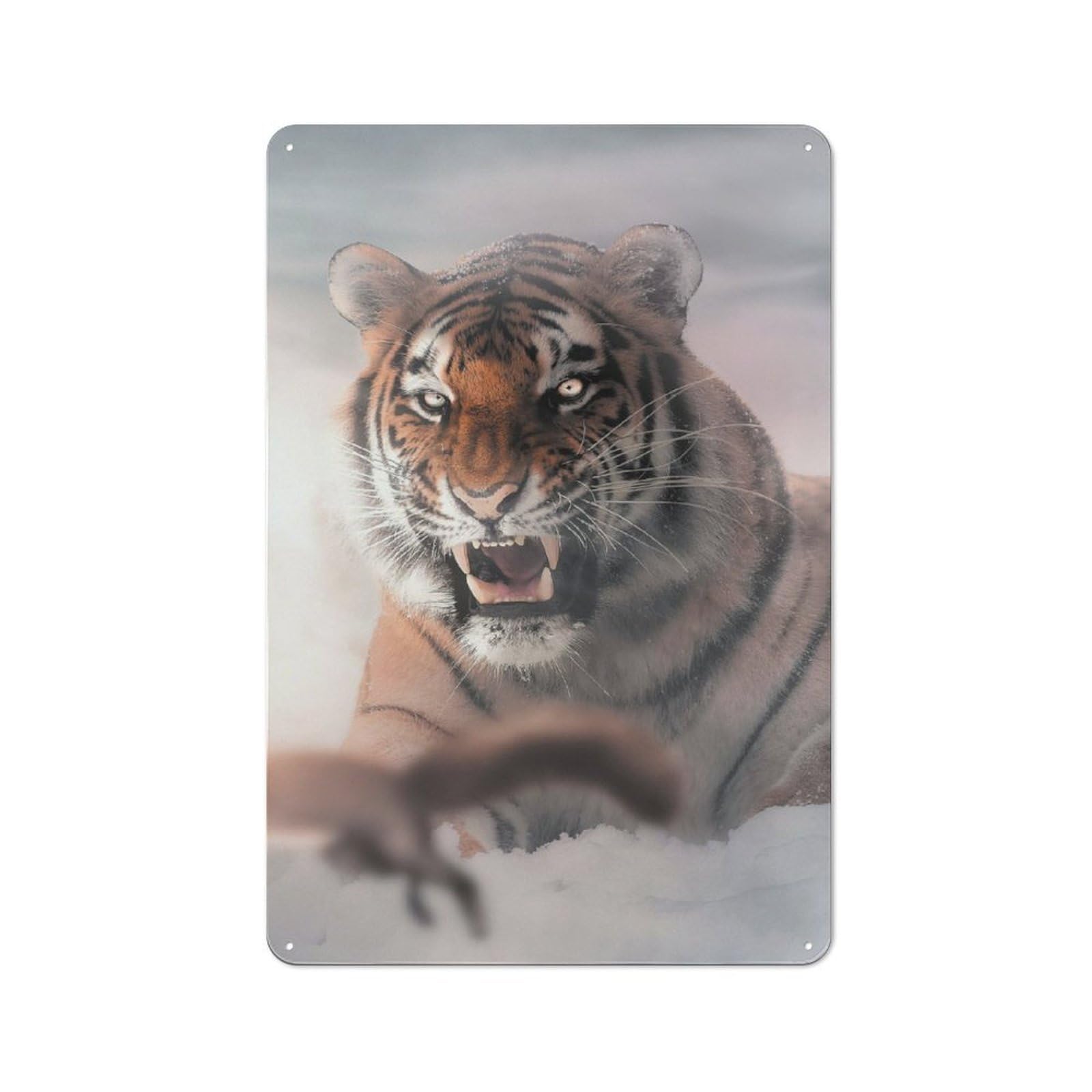 Junmoney Tiger And Jumping Squirrel For Man Cave Or Games Room, Retro Tin Sign 30X20cm, A Christmas Gift For People Styling Man Cave And Games Room