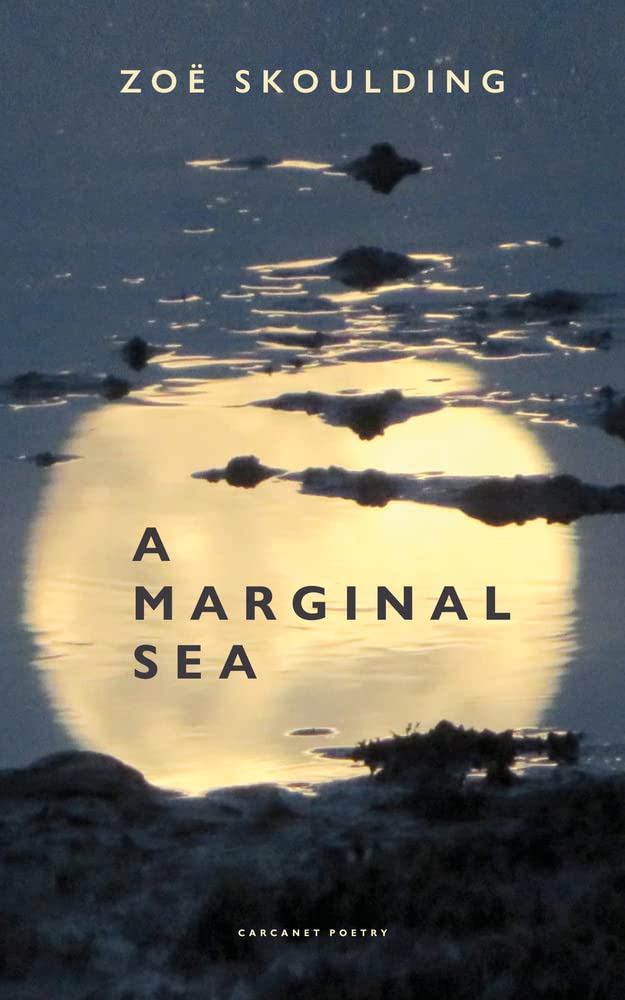 A Marginal Sea.by Skoulding  New 9781800172517 Fast Free Shipping**