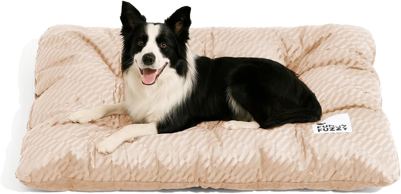FUNNY FUZZY 2 in 1 Dog Bed Crate Pad Mat, Washable Reversible Pet Floor Mats,Fluffy Kennel Pad for Small Large Sized Dog,Indoor Cats,Sleeping Mattress, 41.7″ × 28.3″, Beige FUNNY FUZZY 2 in 1 Dog Bed Crate Pad Mat, Washable Reversible Pet Floor Mats,Fluffy Kennel Pad for Small Large Sized Dog,Indoor Cats,Sleeping Mattress, 41.7″ × 28.3″, Beige