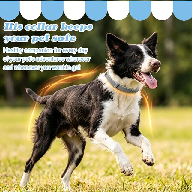 Foto 5 de 7 de Collar Antigarabatos de Silicona para Perros, Repelente Natural contra los Mosquitos, Ajustable