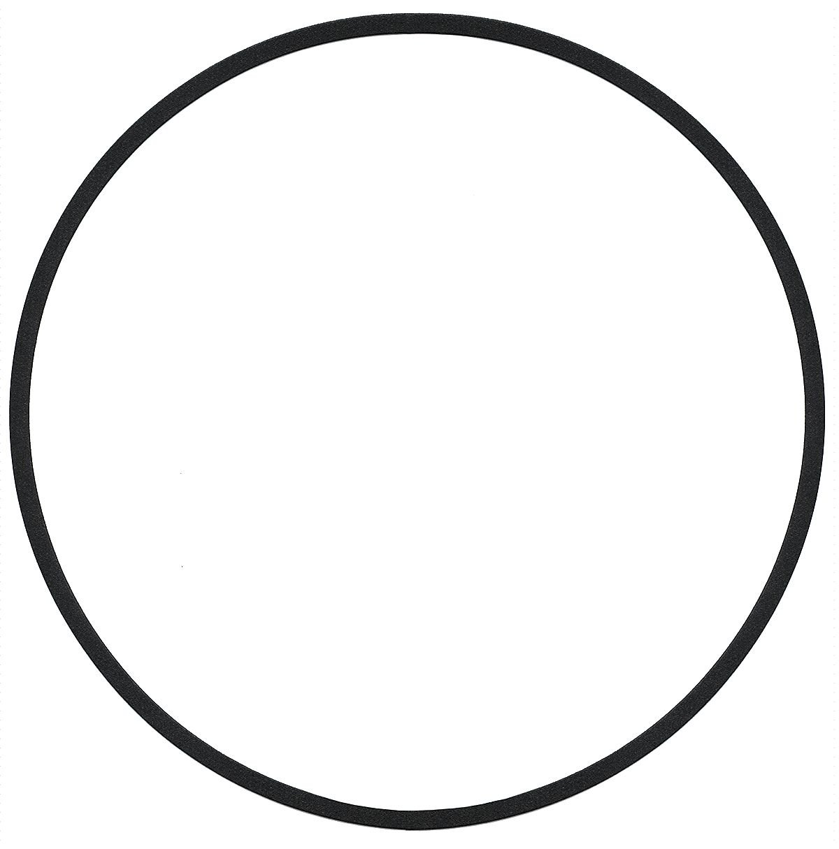 Bell & Gossett P48690 Body Gasket for Series 1510/1531 Pumps