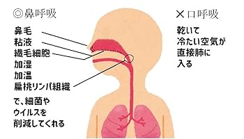 ちなさん専用‼️正規品！サイレントナイト22枚X39 21枚 Amazon
