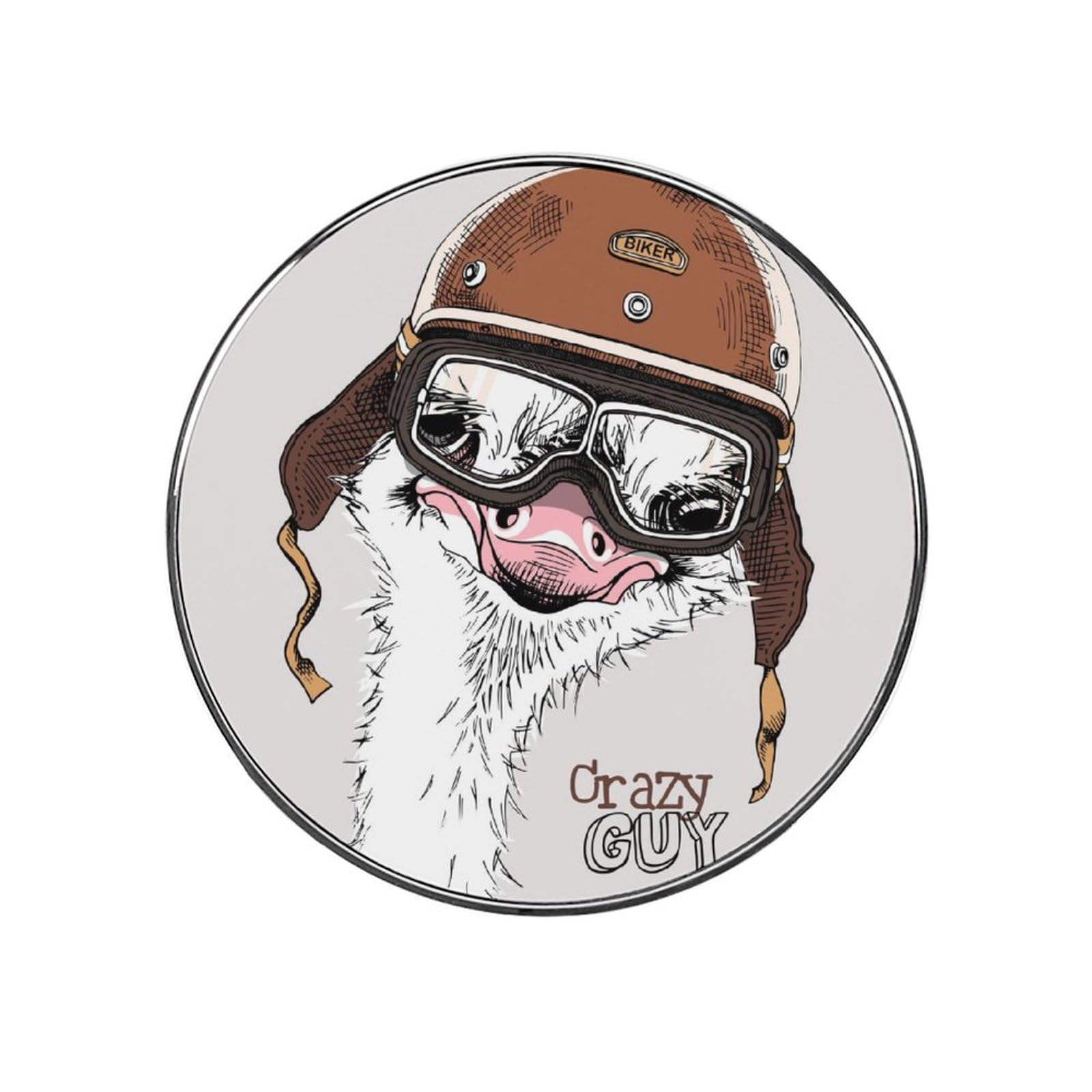 Cartoon Ostrich Alloy Fridge Magnet For Office Cabinet Refrigerator Whiteboard Photo