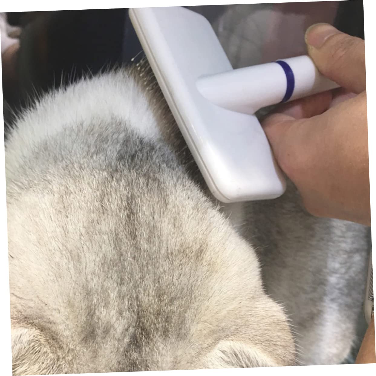 Toddmomy Brosse de Toilettage pour Animaux Peigne Anti-mue pour Chien Accessoires de Toilettage pour Chiens