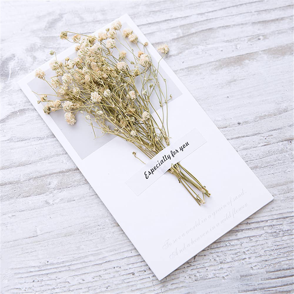 HuaTeus Dried Flowers Blessing Greeting Card Flowers Thank You Card Kawaii Invitation Gift Wrapping Cute Envelopes Letter Paper FGTNV (Color : White)