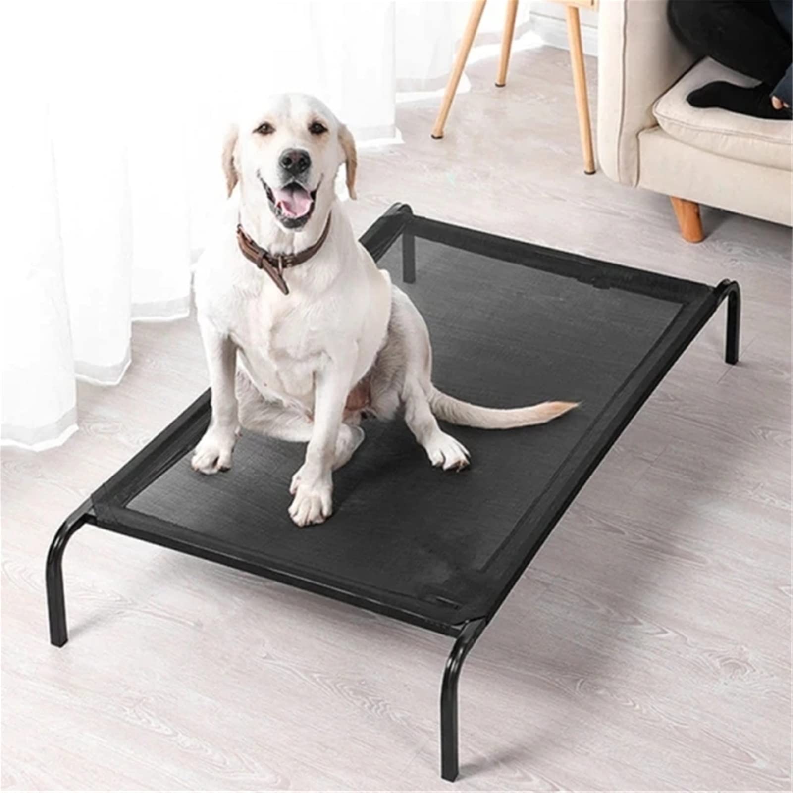 Cama Elevada Para Perro Grande POGEPE Cama Elevada Para Perro