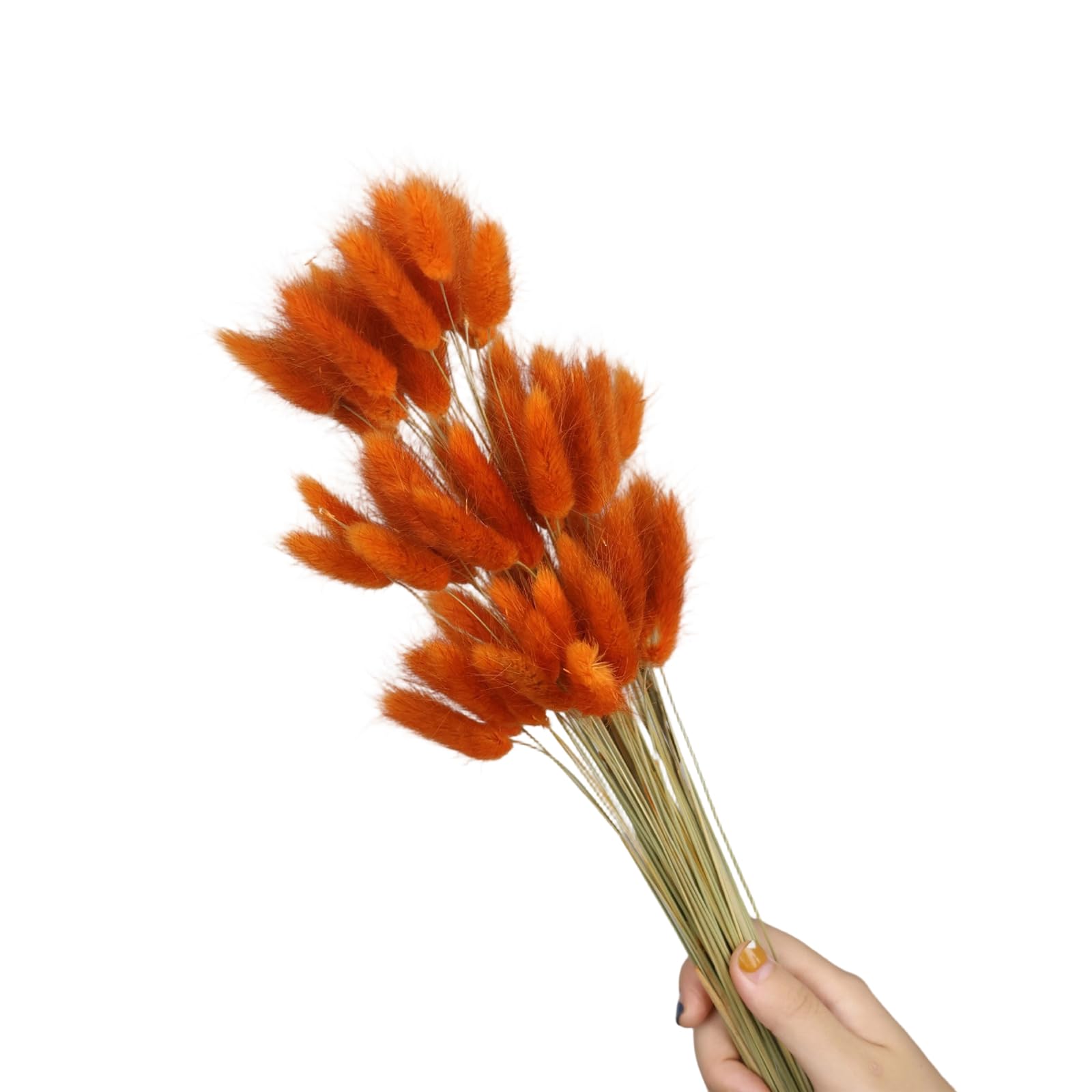 Tsophreniq 60Pcs Natural Hare Tails Dried Flower 23.6Inch Natural Dry Pampasgrass for Vase Arrangements Home Decoration Wedding Pet Safe Dried