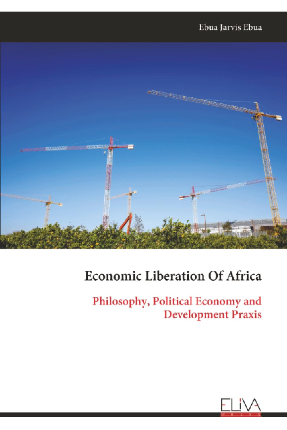 Economic Liberation Of Africa: Philosophy, Political Economy and Development Praxis