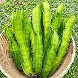 100+ Winged Bean Seeds Four Angled Bean Manila Bean King Shire Winged Bean Dragon Bean Vine Home Gardening Seeds Vegetable Seed