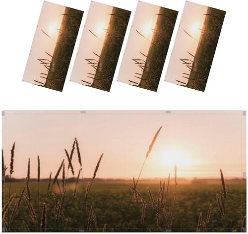 Cubiertas de luz fluorescente para aula, oficina, hogar, 4 x 2 pies, filtros de luz escénicos rurales de Saskatchewan para eliminar la fatiga