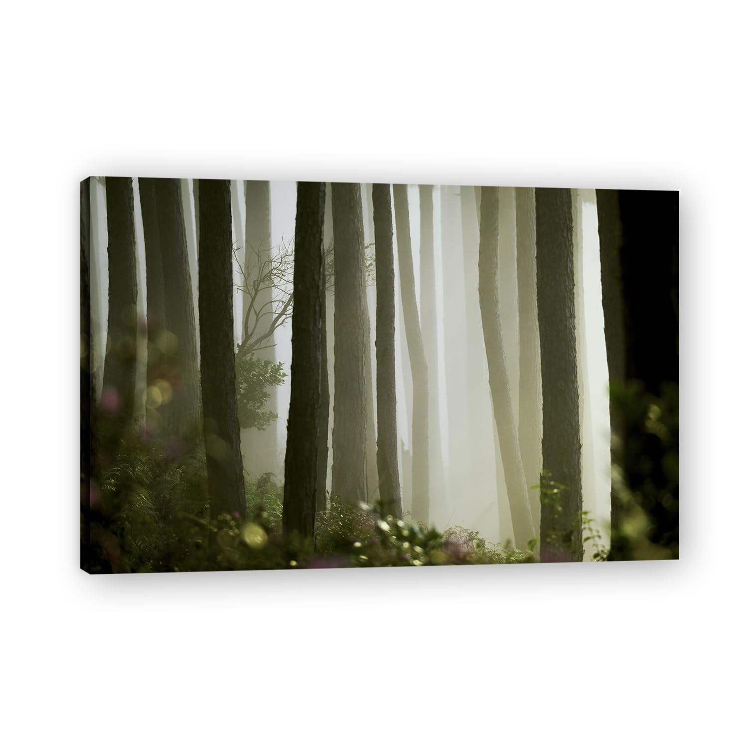 VHdfgTY Misty ForestNature Landscape Wall Art Canvas Mountain Scenery Print Home Decoration 40x60cm Framed