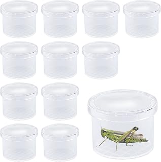 ZDNT 12Pcs Magnifying Insect Container Bug Viewer Insect Cage Bug Catcher Bug Magnifier Container Insect Magnifier Bug Catcher for kids Plastic Insect Boxes for Kids Science Nature Exploration
