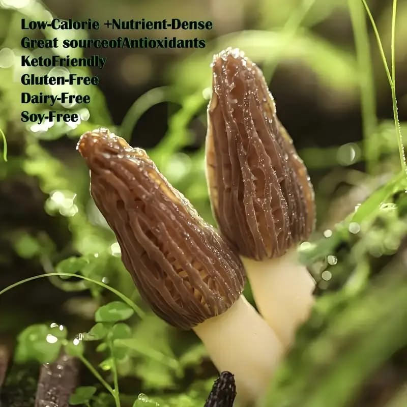 Premium Dried Morel Mushrooms, Grade AAA, Natural Morchella Conica, Gluten-Free, Fat-Free, Sugar-Free 4oz