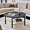 LukeAlon Classic Round Coffee Table 2 Tier Circle Coffee Table with Storage Sofa Side Table Circle Tables for Living Room Small Space Wooden Tabletop Open Shelf Black