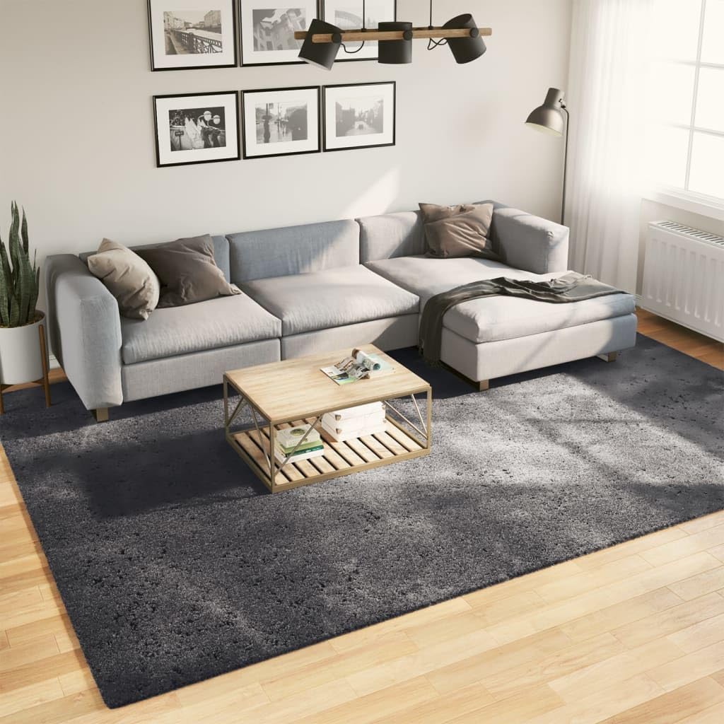 Tapis moelleux anthracite pour salon et chambre moderne HUARTE