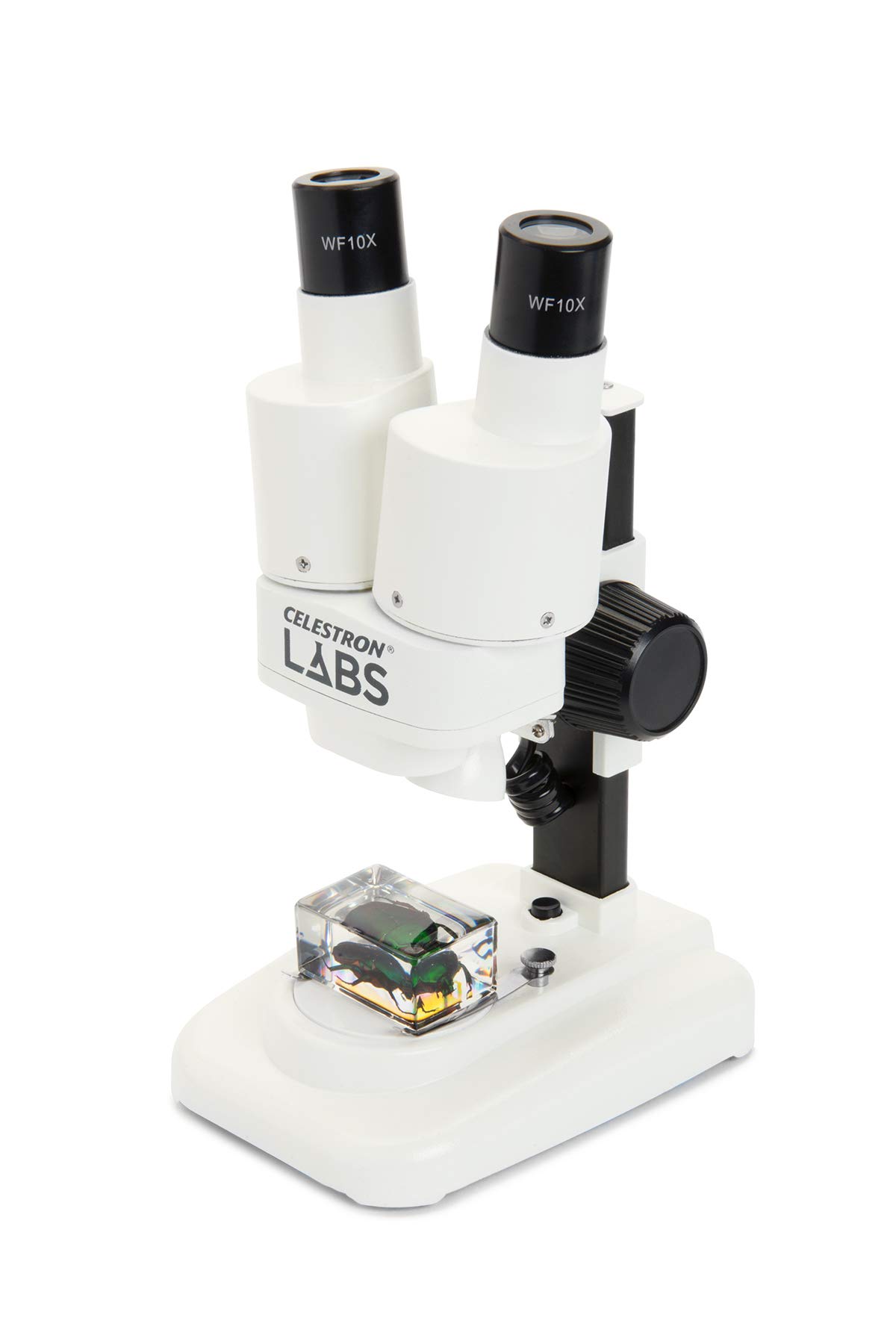 Celestron 44207 Labs CL-S20 Microscopio stereo