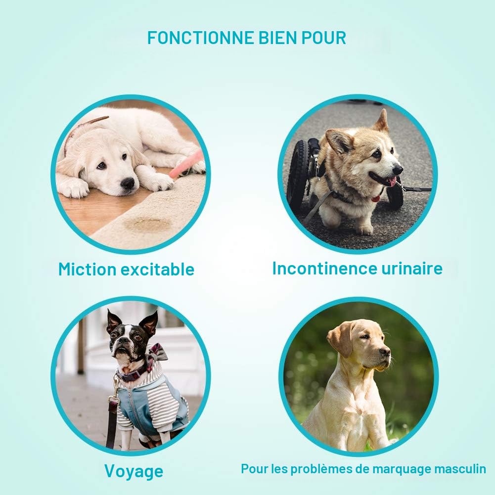 Couches pour Chien Mâle Taille S - 52 Bandes Abdominales Jetables, Ultra Absorbantes Incontinence, Apprentissage Propreté, Voyages