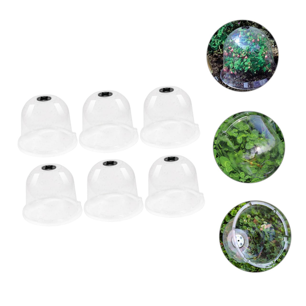 Abaodam 6pièces Cloche Plastique pour Plantes De Jardin Cloches De Protection Gel pour Plantes Extérieur