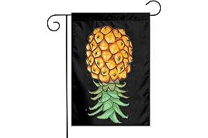 JOHN AHMED "WELCOME TO THE UPSIDE DOWN SIGN"