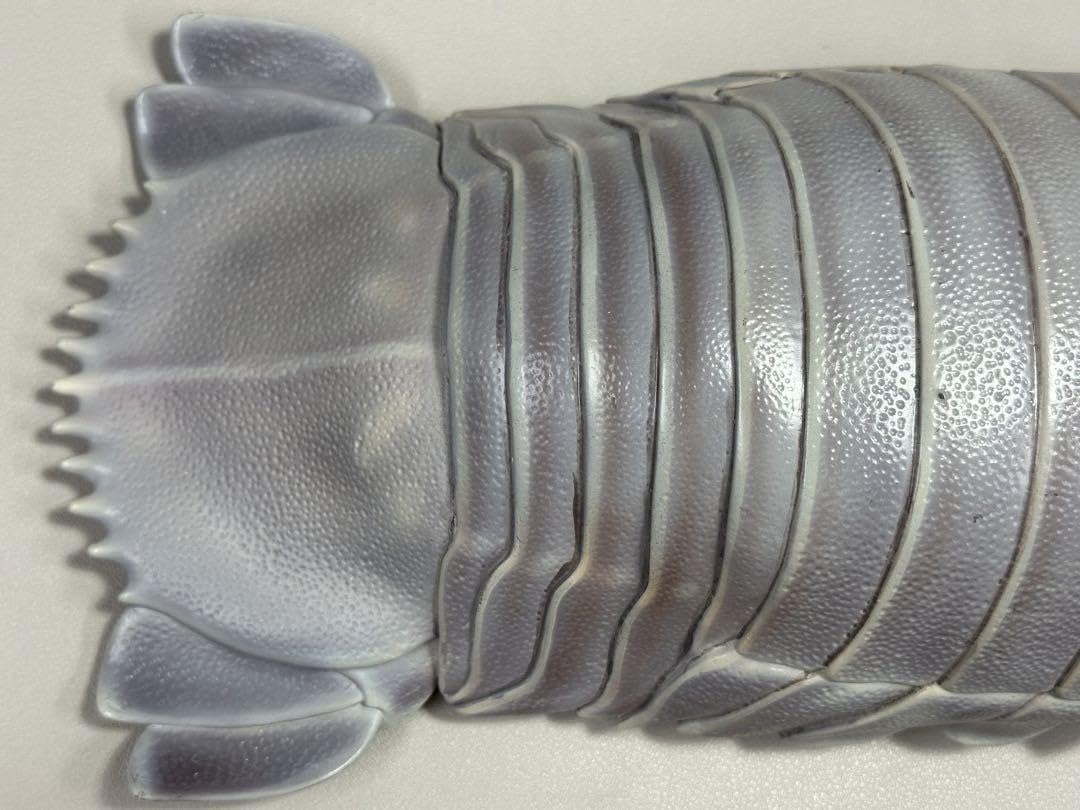 Amazon.co.jp: ネイチャーテクニカラー ダイオウグソクムシ 原寸大